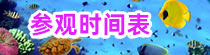 參觀時間表